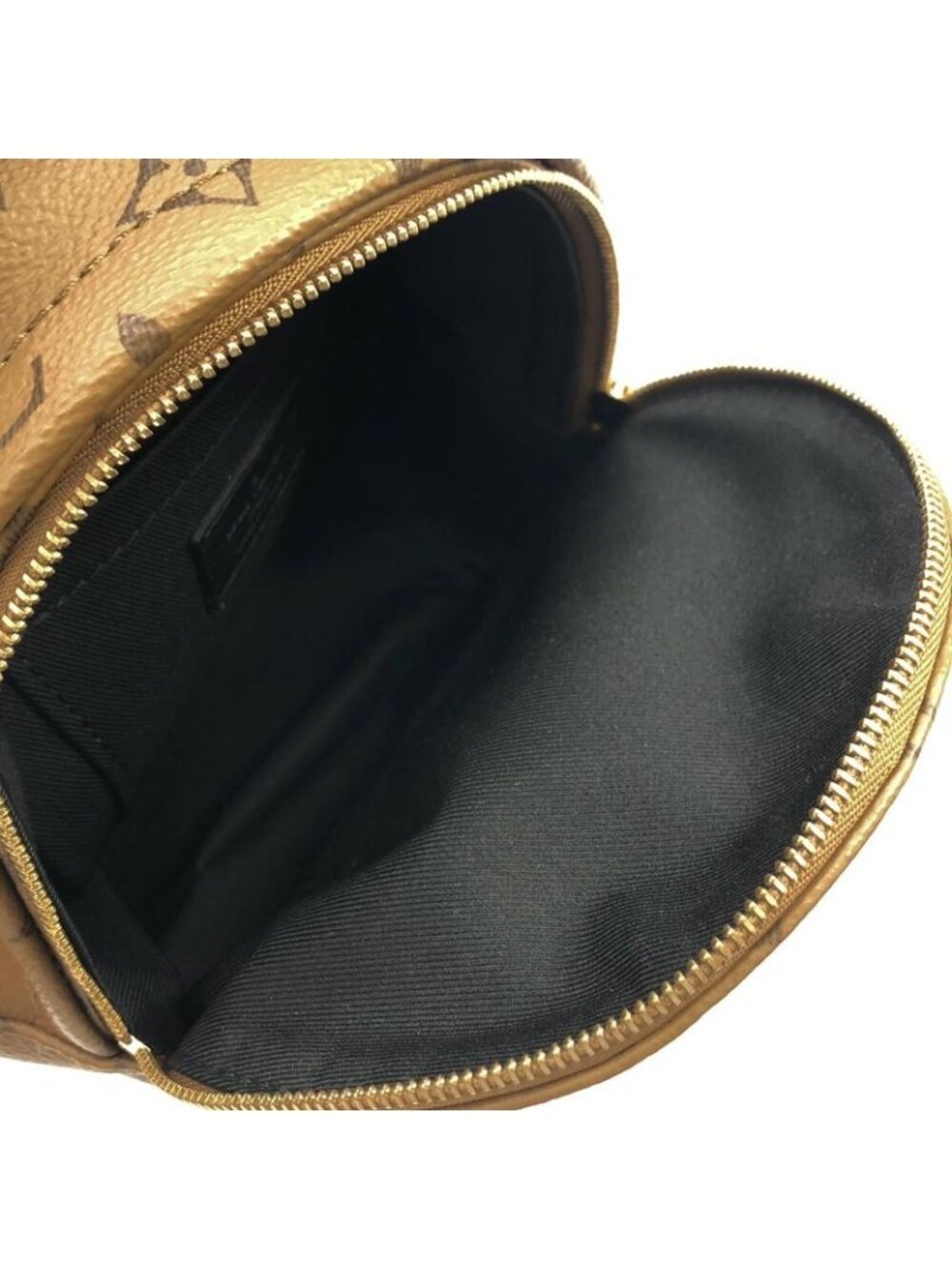 Louis Vuitton Monogram Reverse Palm Spring Backpack Mini Sac - Picture 6 of 6